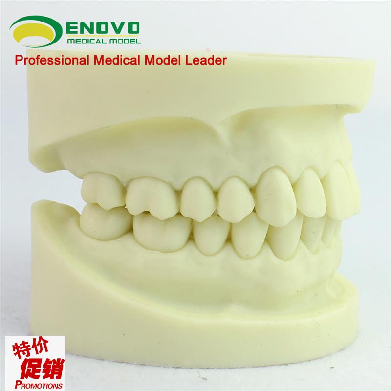 颐诺正品白刚玉牙模型洞备w牙医练习口腔执业考标准牙齿牙体制备