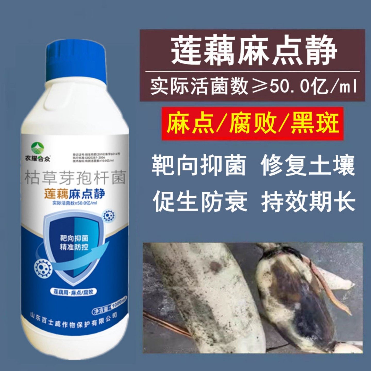莲藕麻点病腐败病专用药非农药