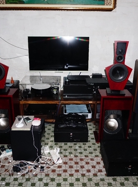 LX521.4 音箱 自用 全套 ASP分频器+箱体 喇叭（定制）具体咨询