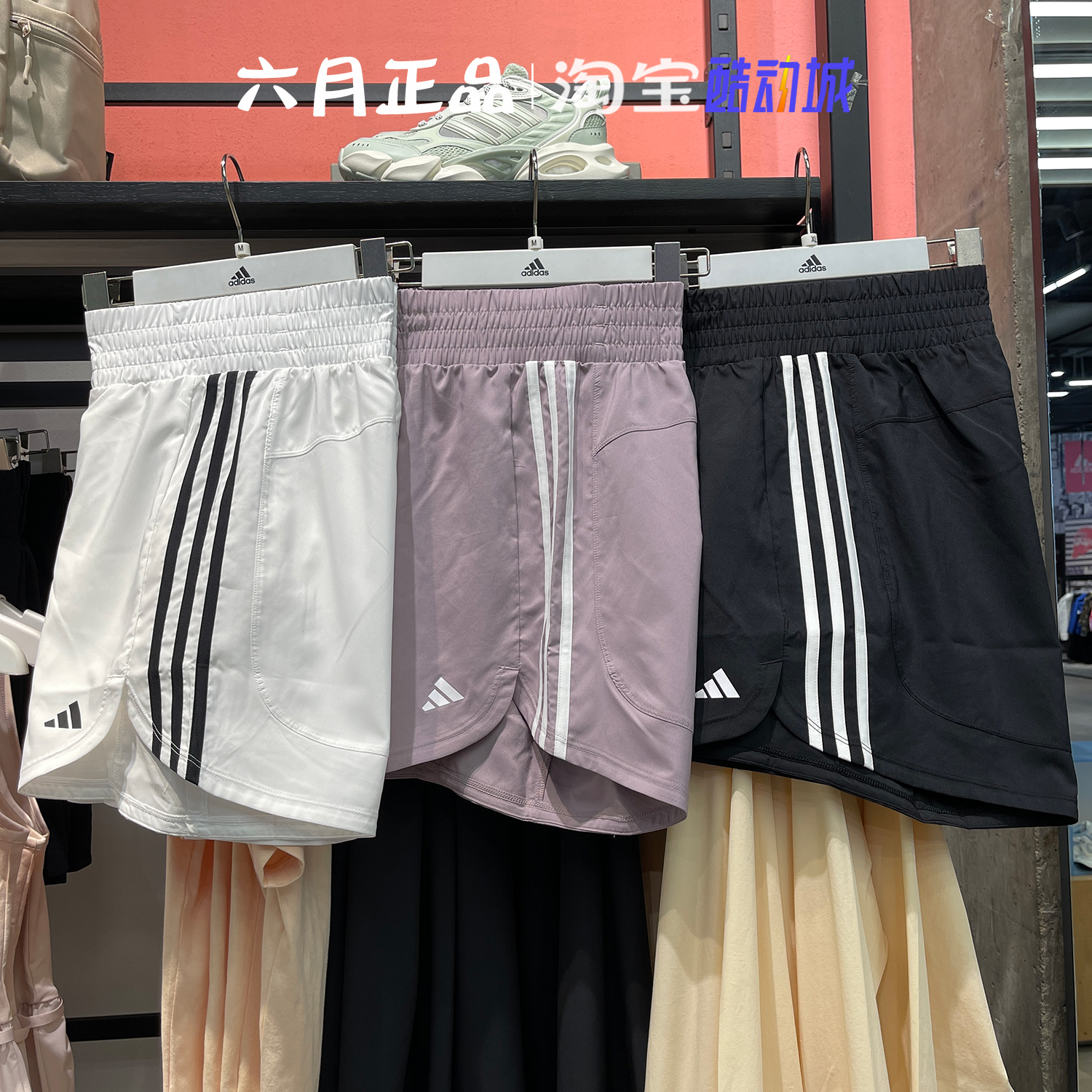 阿迪达斯女运动休闲短裤五分裤