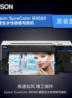 EPSON爱普生B9580 原装墨水T54D系列T54D1 T54D2 T54D3 T54D4