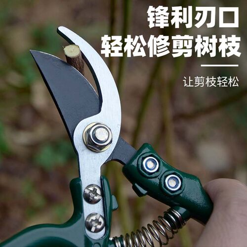 修枝剪刀家用稀果剪翘头剪葡萄的剪刀不锈钢修果剪蔬果剪修枝剪子