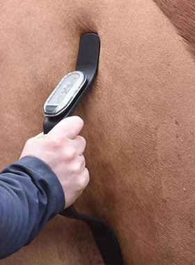 第四代HL Horselink耐力赛用马术心率仪，马匹心跳测量、监控，