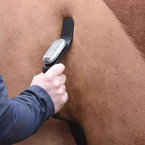 第四代Horselink耐力赛马术心率仪，马匹心跳测量，新款欧版包装