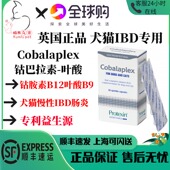 英国正品 Cobalaplex钴胺素叶酸幼猫咪狗维生素益生菌IBD肠胃炎B12