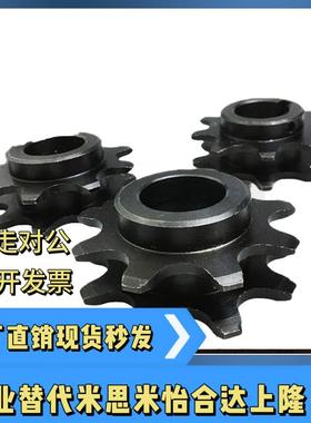 倍速链轮WESP3 4 5-9 10-H15 H20 H25 H30 N15 N20 N25 N30