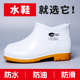 防水防油耐酸碱厨房专用防滑雨鞋 食品厂工作鞋 卫生靴短筒水鞋