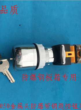 金属头防爆带钥匙按钮开关BA8050  防暴钢板箱专用 带锁防爆按钮