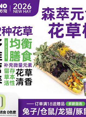 予诺佑宠兔子花草包夏季专属配方