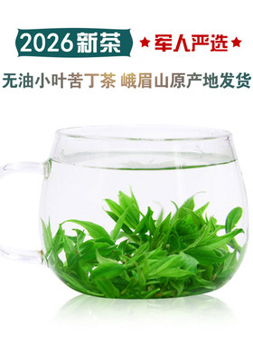 2026新茶苦丁茶峨眉山小叶苦丁茶