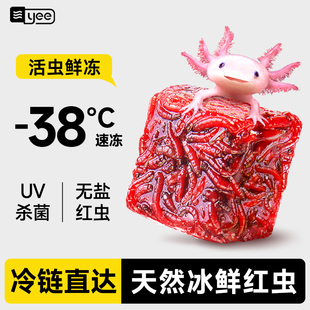 yee六角恐龙饲料鱼食娃娃鱼蝾螈东方龟苗开口冷冻底栖鱼红虫鱼粮