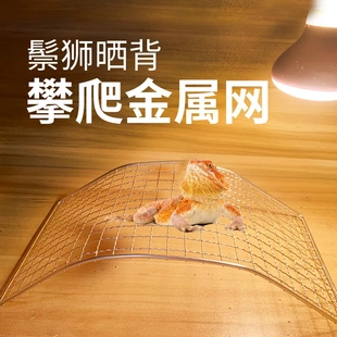鬃狮金属网爬台爬虫攀爬架子蜥蜴攀爬伞蜥幼体成体晒背休息台
