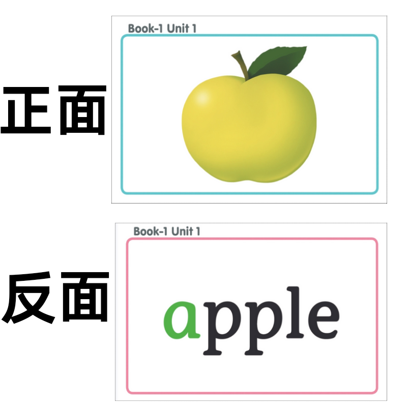 双面牛津OxfordPhonics自然拼读少儿英语单词大卡片闪卡塑封教学