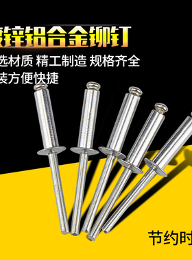 Exploit/开拓 镀锌铝合金铆钉 10个装拉铆钉铆钉枪铆钉 044047