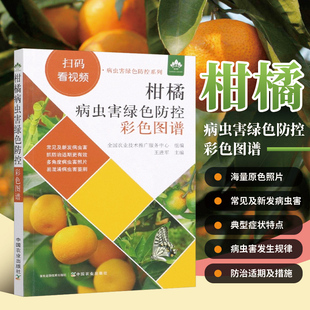 附扫码视频 柑橘病虫害绿色防控彩色图谱常见病虫害柑橘黄龙病防控柑橘黄化脉明病防控温州蜜柑萎缩病防控每种病虫害防治柑橘种植