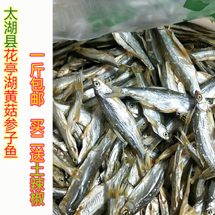 包邮送辣椒！安庆太湖县特产花亭湖小黄菇鱼参子咸鱼干淡水小河鱼