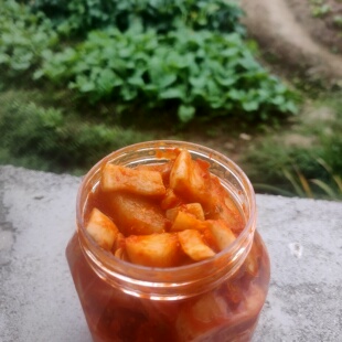 辣胡椒酱萝卜太湖县农家酱咸菜中特辣下饭酸脆萝卜丁 0添加剂瓶装