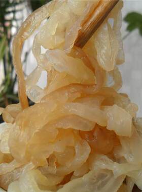 海蜇丝500g非即食咸海哲丝野生海蜇皮海哲头日照特产海鲜凉拌菜