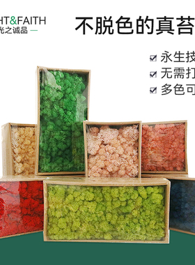 永生苔藓背景墙保鲜花垂直绿化背景墙diy材料假绿植墙仿真植物墙