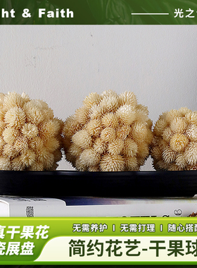天然干花球松果球手工定制永生花家居摆件装饰品ins风诧寂风民宿
