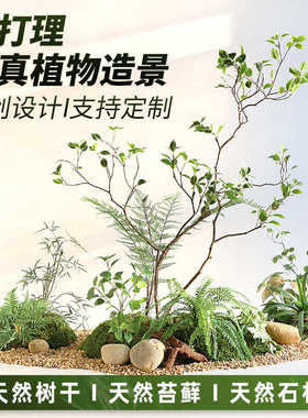 永生苔藓真树杆仿真小叶榕树青苔室内造景绿植铺面微景观植物装饰