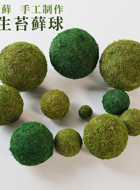 永生苔藓球绿植摆件室内客厅桌面盆栽装饰品创意家居饰品摆设