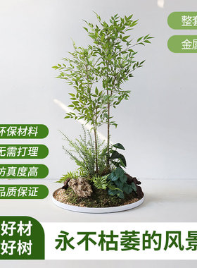 仿真树南天竹百合竹火山石落地造景植物装饰摆件地貌组合微景观