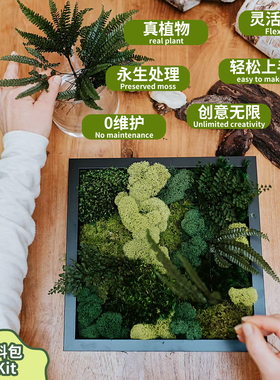 永生苔藓DIY材料包真植物手工制作创意摆件方形画框挂画苔藓画