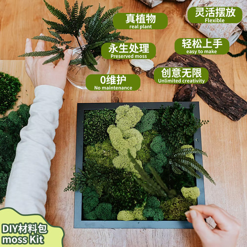 光之诚品永生苔藓DIY材料包