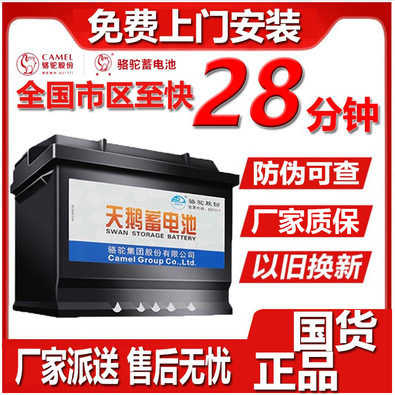 天鹅骆驼58500蓄电池48A五