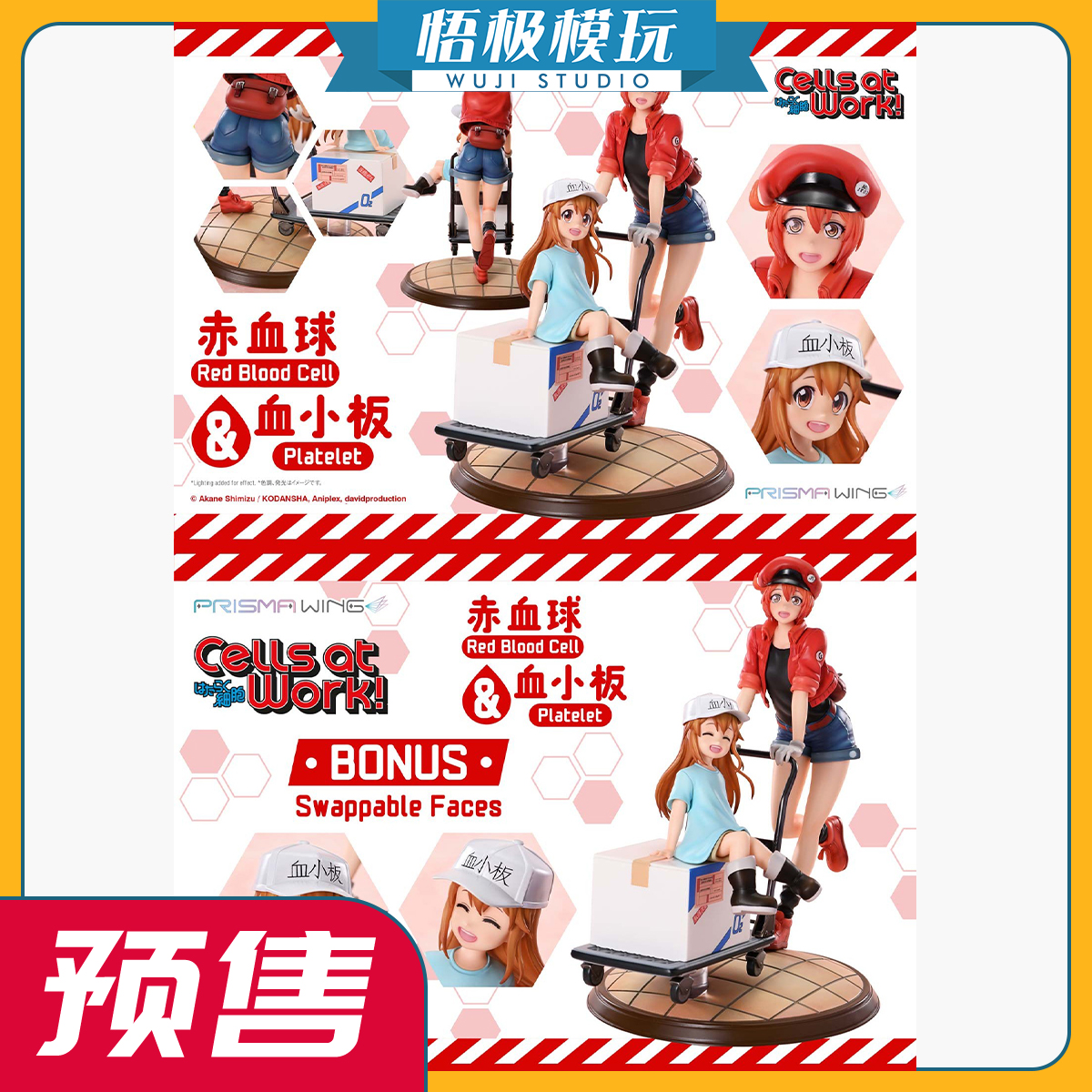 PrismaWing红血球和血小板