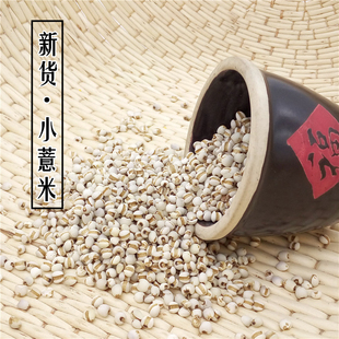 小薏米仁新货小粒薏仁米 薏苡仁苡米仁500g一斤【任选3件包邮】