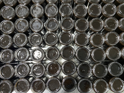 晓雅养阴虚火旺石斛银耳玉竹百合