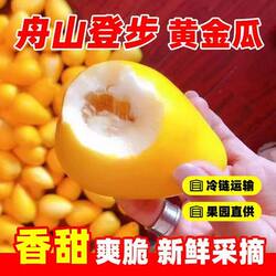 舟山登步黄金瓜新鲜当季农家特产普陀佛光瓜甜瓜香瓜现摘顺丰5斤