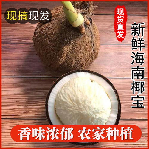 海南新鲜椰宝正宗发芽老椰子肉