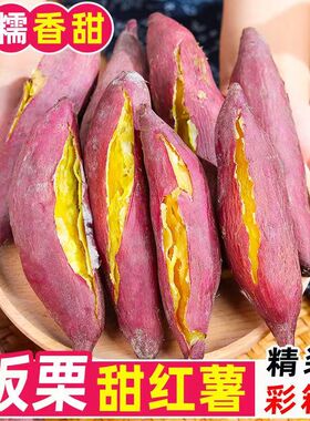 正宗陕西临潼板栗红薯农家自种新鲜番薯地瓜沙地板栗薯蜜薯小香薯