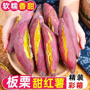 正宗陕西临潼板栗红薯农家自种新鲜番薯地瓜沙地板栗薯蜜薯小香薯