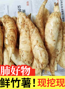 农家新鲜竹薯现挖无渣竹芋5斤当季冬粉薯凉粉薯根茎薯煲汤炒菜
