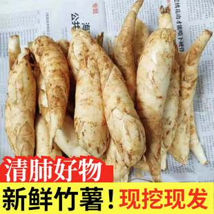 农家新鲜竹薯现挖无渣竹芋5斤当季冬粉薯凉粉薯根茎薯煲汤炒菜