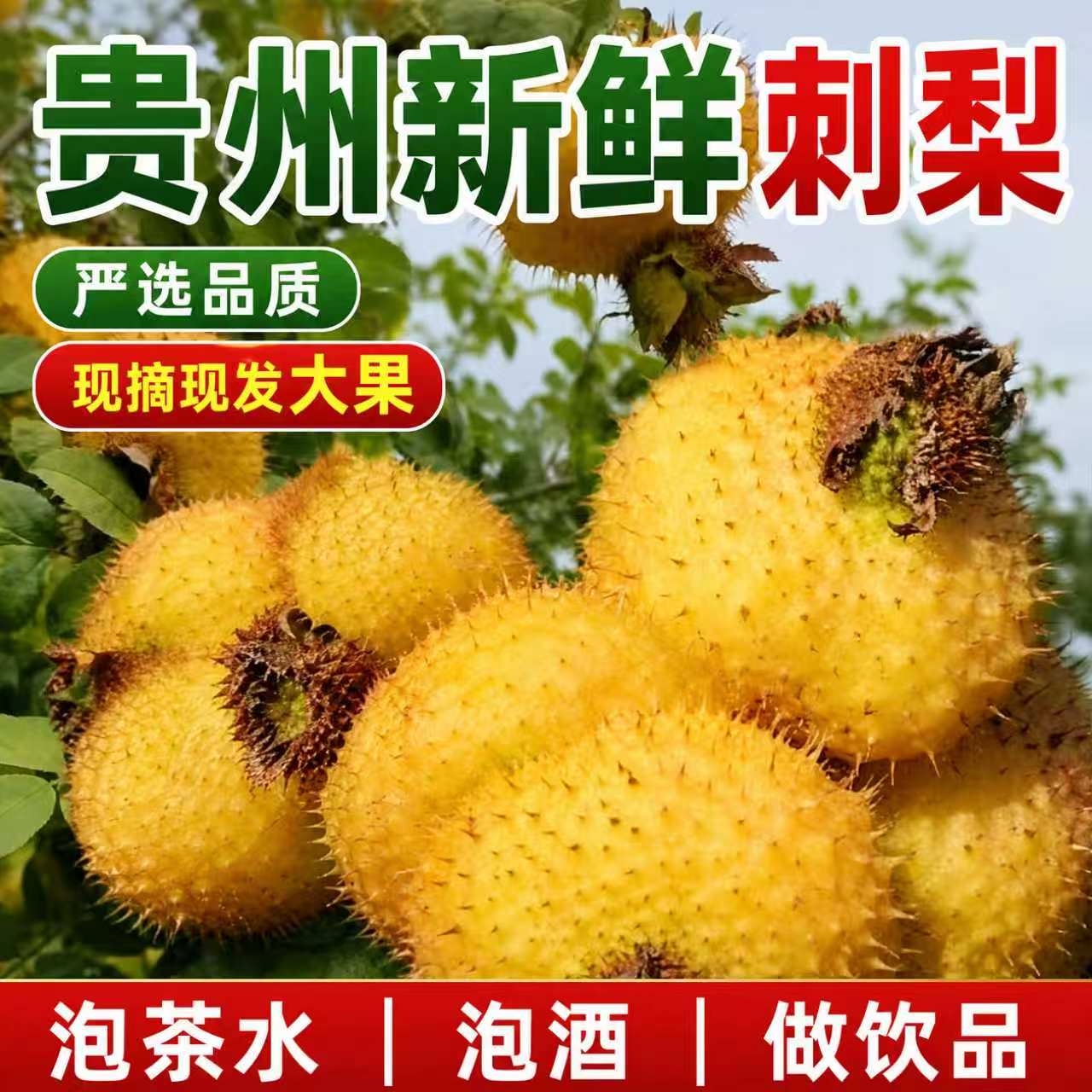 贵州新鲜刺梨鲜果刺梨鲜果现摘野生新果刺梨果泡酒泡茶榨汁