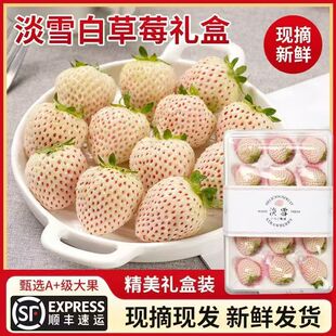 高端品种淡雪草莓新鲜3斤白色草莓奶油水果顺丰礼盒包邮奶油草莓