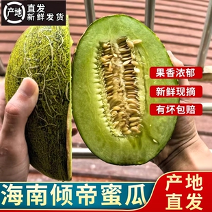 海南特产倾帝蜜瓜 新鲜孕妇水果现摘青帝蜜瓜网纹瓜蜜瓜礼盒清脆