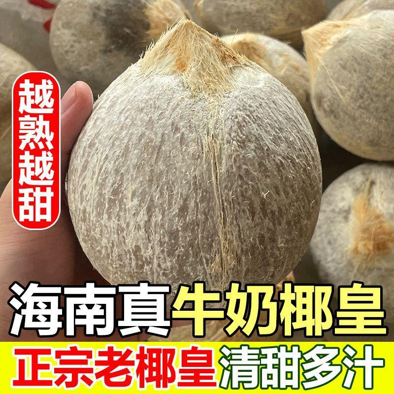 新鲜现摘海南牛奶椰皇椰青文昌奶香老椰子香甜孕妇水果2-9个宝宝