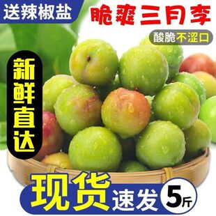 云南三月李李子新鲜水果青李珍珠李当季酸脆5斤大果早熟钱排青李
