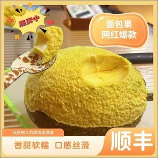 新鲜面包果面包树果实稀有水果蒸煮炸炒炖烤皆可网红水果1-2斤包