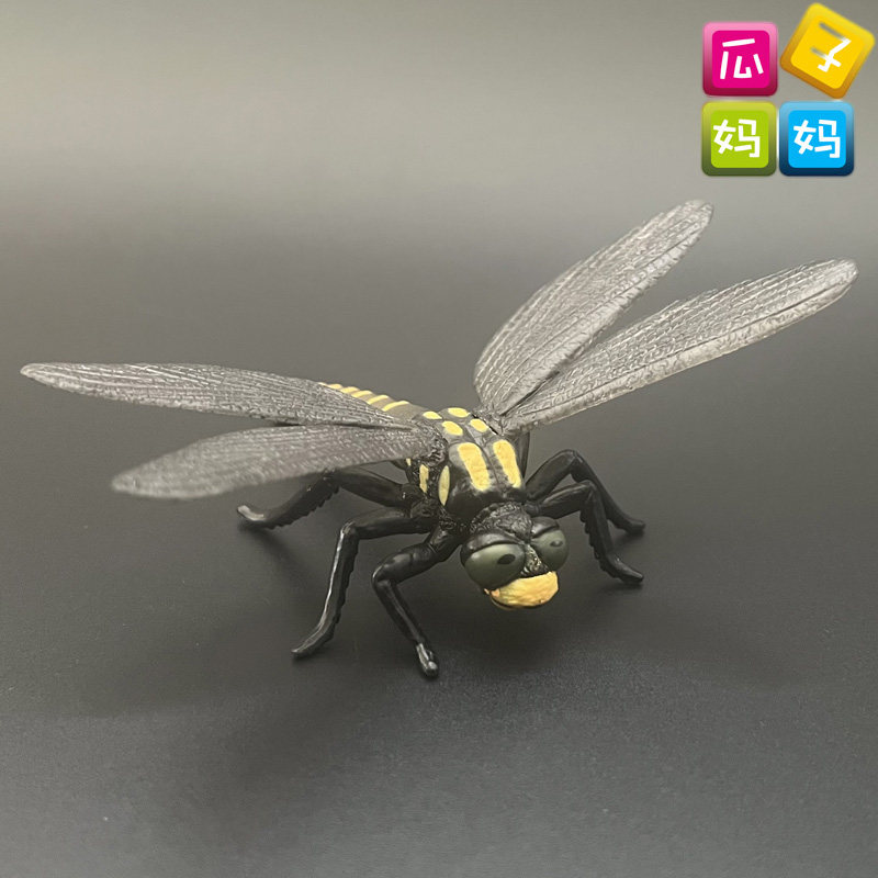 collecta我你他 金环蜻蜓 仿真昆虫动物静态模型全新玩具88350