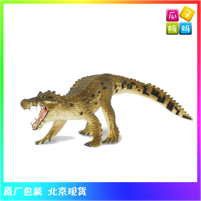 safari 野猪鳄 仿真远古古兽恐龙动物模型玩具 300829