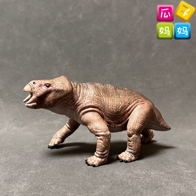 扁肯氏兽扁肯氏兽collecta