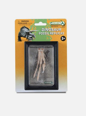 Collects我你他迅猛龙速龙脚趾骨头仿真模型恐龙玩具89285