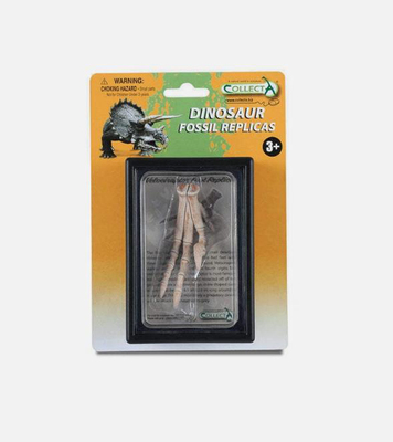 Collects我你他迅猛龙速龙脚趾骨头仿真模型恐龙玩具89285